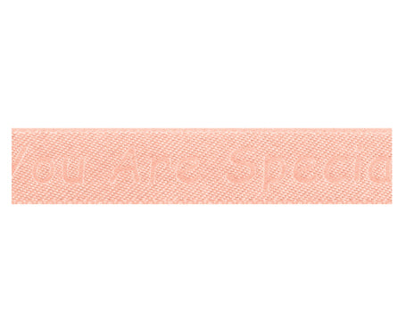 YOU ARE SPECIAL リボン #003 1サイズ3色展開