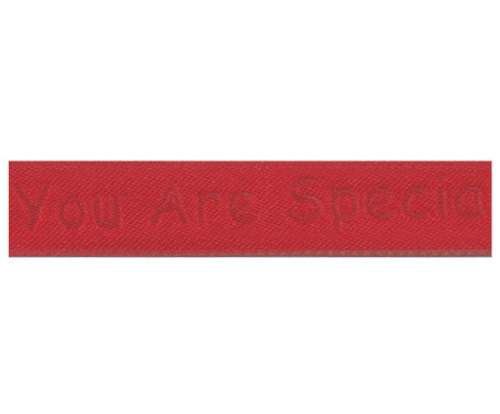 YOU ARE SPECIAL リボン #071 1サイズ3色展開